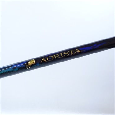 ２１アオリスタ５００